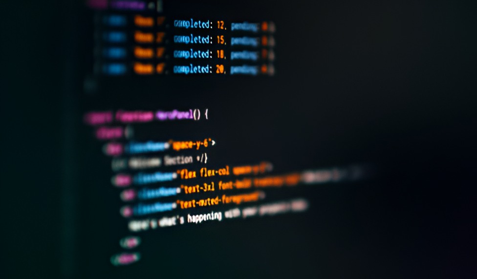 Verona Web Development Showcase